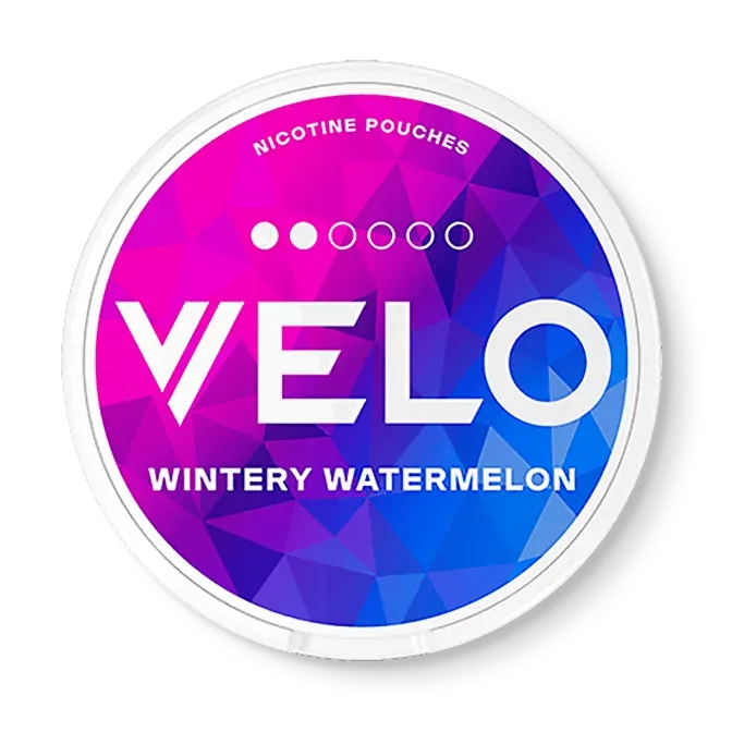 Velo Wintery Watermelon Mini Regular