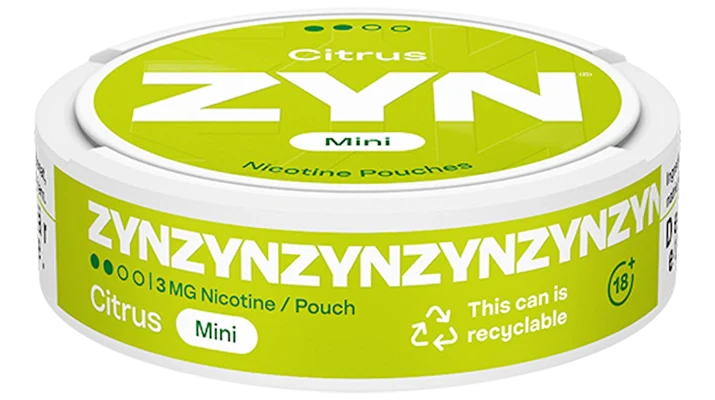 ZYN Citrus Mini Dry Regular