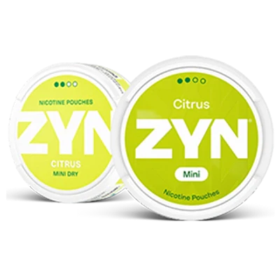 ZYN Citrus Mini Dry Regular