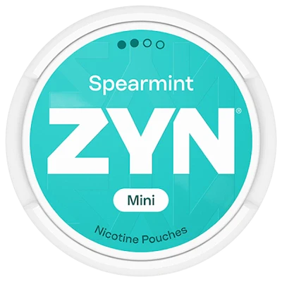 ZYN Spearmint Mini Dry Regular