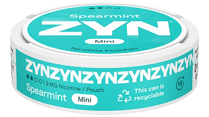 ZYN Spearmint Mini Dry Regular