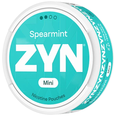 ZYN Spearmint Mini Dry Regular