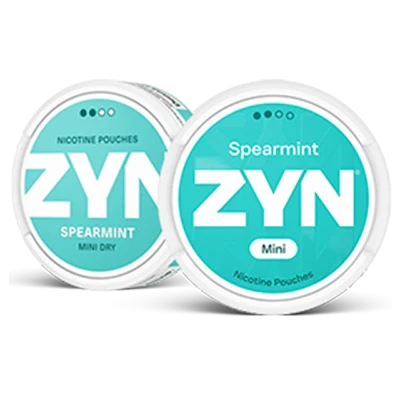 ZYN Spearmint Mini Dry Regular