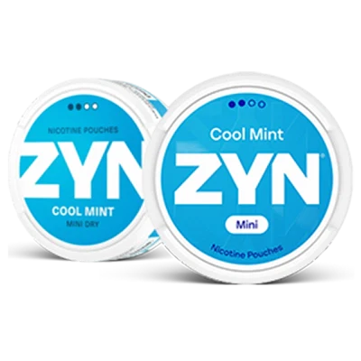 ZYN Cool Mint Mini Dry Regular